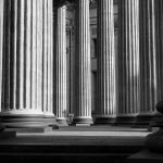 pexels alexey derevtsov 8755742