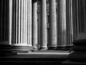 pexels alexey derevtsov 8755742